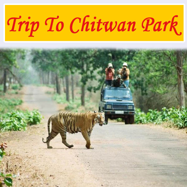 trip to chitwan park